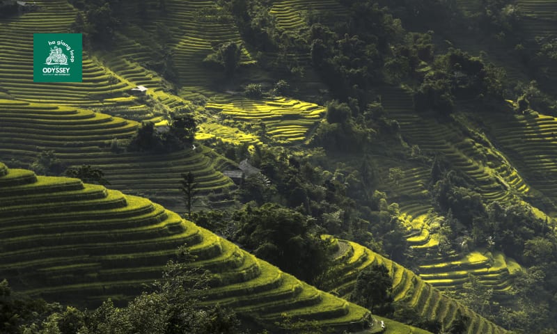 Best Ha Giang Loop Tour 2026: How to Choose the Right Tour for Your Travel Style