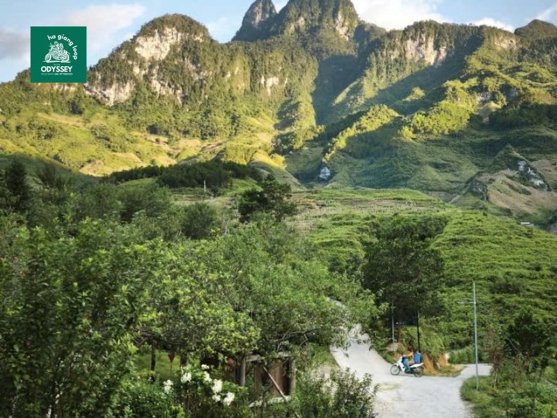 Hanoi Ha Giang 4 day tour from Hanoi: The Ideal Schedule Without Rushing